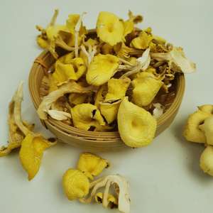 1 kg de <span class=keywords><strong>champignons</strong></span> d'huître dorés entiers crus séchés comestibles à vendre - Product Image 3
