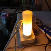 USB Led Flamme Effet Simulation Dynamique Scintillement Feu Ampoules Intérieur Veilleuse pour La Maison De Noël Fête D'anniversaire Décoration