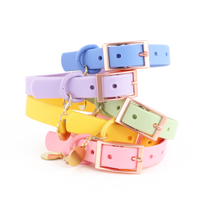 Correa recubierta de silicona para perro, conjunto de Collar de PVC liso con placa de nombre y personalidad, resistente al agua - Product Image 1