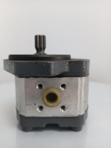 Pompe à engrenages de haute qualité d'origine, en promotion, 0510225020 AZPF-11-004RRR20KB-S0081, en stock - Product Image 1