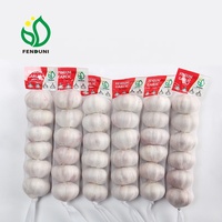 Ajos / Ail rouge frais de Chine pour le marché chilien 10kg/carton, 55mm/60mm Qualité export