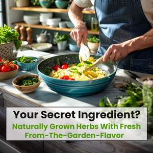 Kit varié <span class=keywords><strong>de</strong></span> 5 herbes : origan, coriandre, persil, <span class=keywords><strong>basilic</strong></span>, ciboulette - pour pots <span class=keywords><strong>de</strong></span> fleurs et jardinières - Product Image 4