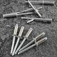 100 pièces 3/16 \ "X 1 \" grande bride en aluminium Pop Rivets avec tige en spirale Type de clou commun pour chaise pliante Tri-Frim Rivets aveugles