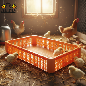 Chicken Loading Drawer for Chicken Chick PE AYTAV Portable Poultry Loading Module Live Bird Handling Equipment - Product Image 3