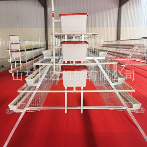 Nueva Jaula Automática de Malla de Alambre Tipo A para Gallinas Ponedoras en Avicultura - Product Image 2