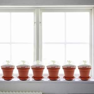 Macetas de vivero de plantas suculentas con cúpula de humedad, pequeñas macetas de plástico con platillos y <span class=keywords><strong>pala</strong></span>, 80 Uds. - Product Image 4