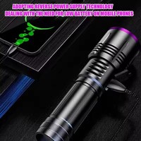 Lampe torche UV portable 365 nm avec filtre noir, rechargeable par USB, 20 W, pour l'inspection de la porcelaine, du jade et les tests de traces fluorescentes