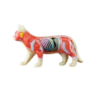 Modèle d'anatomie de chat en PVC grandeur nature pour l'acupuncture animale, conforme CE/ISO, pour la science médicale