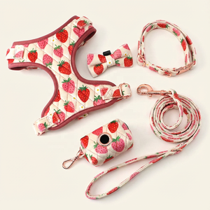 Conjunto de Arnés de Lujo para Perro de Terciopelo Kawaii con Correa a Juego, Impresión de Patrones Personalizados, Ajuste Ajustable, Clip de Metal Resistente - Product Image 1