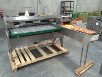 Niveleuse d'oeufs entièrement automatique à cinq niveaux Machine de pesage d'oeufs de poule d'oie de canard en acier inoxydable 304 Machine de triage d'oeufs