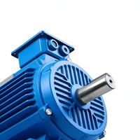 Moteur asynchrone triphasé haute efficacité YE3 45kW à 2/4 pôles, boîtier en fonte, étanche, vente en gros d'usine