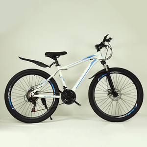 Bicicletta da Montagna Personalizzata 26/24 Pollici in Acciaio al Carbonio, Freno a Doppio Disco, Velocità Variabile, Telaio Rigido, Capacità di Carico 200Kg, Cross-Country - Product Image 4