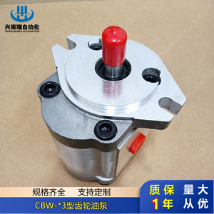 Bomba de aceite para engranajes Cbw F316 Alp, instalación de brida de 1 etapa, eje vertical, accionamiento eléctrico - Product Image 3