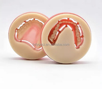Bloques dentales de resina PMMA con certificación CE/FDA, resistencia a la flexión Ideal para coronas y puentes, personalización OEM