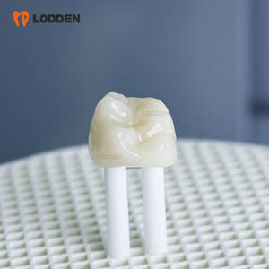 صوفي فرن معمل أسنان من LODDEN للفرن مع الضغط - Product Image 6