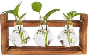 Hot Glass Propagation Station with Wooden Rack Stand Heart-Shaped Vase for <b>Flowers</b> and Terrarium Jar Planter Home Garden - Product Image 3