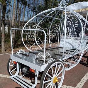 Carrozas Fúnebres de Estilo Europeo en Oferta, Carrozas Fúnebres Clásicas con Caballos, Carros de Caballos - Product Image 6