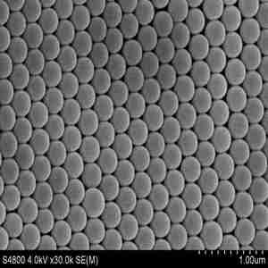 Microsphères magnétiques activées par tosyl pour l'immobilisation covalente de biomolécules et la recherche biotechnologique - Product Image 2