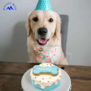 Fabricante personalizado Haustierkekse Etiqueta Privada chocolate y dulces al por mayor varias formas dulces galletas para mascotas - Product Image 1