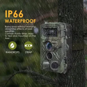 Trail Camera 36mp 4K 0.2S Trigger Motion Geactiveerd, Game Hunting Camera Met Nachtzicht Ip66 Waterdicht 2.0 ''Lcd 120deg Breed