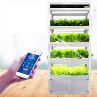 Système hydroponique vertical de machines végétales hydroponiques d'utilisation à la maison avec la lumière