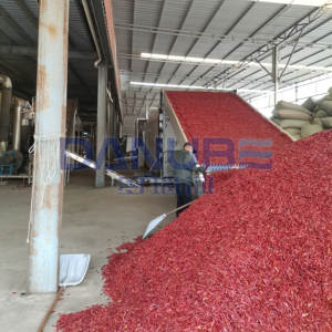 Secador de chiles con cinta transportadora de malla industrial, línea de producción de secado de chiles, máquina deshumidificadora de chiles - Product Image 3