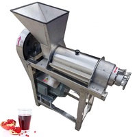 Hete Verkopende Roestvrijstalen Schroef Juicer Voor Fruit Groenten Elektrische Automatische Vruchtensap Verwerkingsmachine