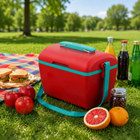 Glacière isotherme portable OEM ODM personnalisée 6L style classique, étanche en PE, pour pique-nique en extérieur