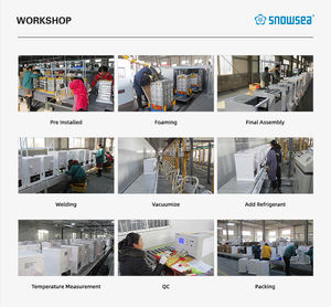 <span class=keywords><strong>Congélateur</strong></span> SNOWSEA <span class=keywords><strong>300</strong></span> <span class=keywords><strong>Litres</strong></span> Prix d'Usine Portable Haute Qualité <span class=keywords><strong>Congélateur</strong></span> <span class=keywords><strong>Coffre</strong></span> Porte Simple Petit <span class=keywords><strong>Congélateur</strong></span> BD-300E - Product Image 5