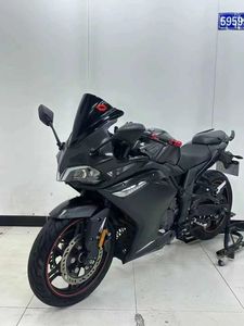 Wuji 300RR - <span class=keywords><strong>Moto</strong></span> <span class=keywords><strong>sportive</strong></span> à essence d'occasion à deux roues. Finition de peinture d'origine. Garantie de qualité. - Product Image 3