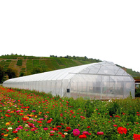 6m/8m Largeur Film à travée unique Serre hydroponique pour la plantation Kit de serre de fraises