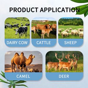 FARMJEWEL Aditivo <span class=keywords><strong>para</strong></span> Alimentos con DL-Metionina, Grado Mineral, Oligoelementos <span class=keywords><strong>para</strong></span> Rumiantes, Mejora la Producción de Leche, Aminoácidos - Product Image 6