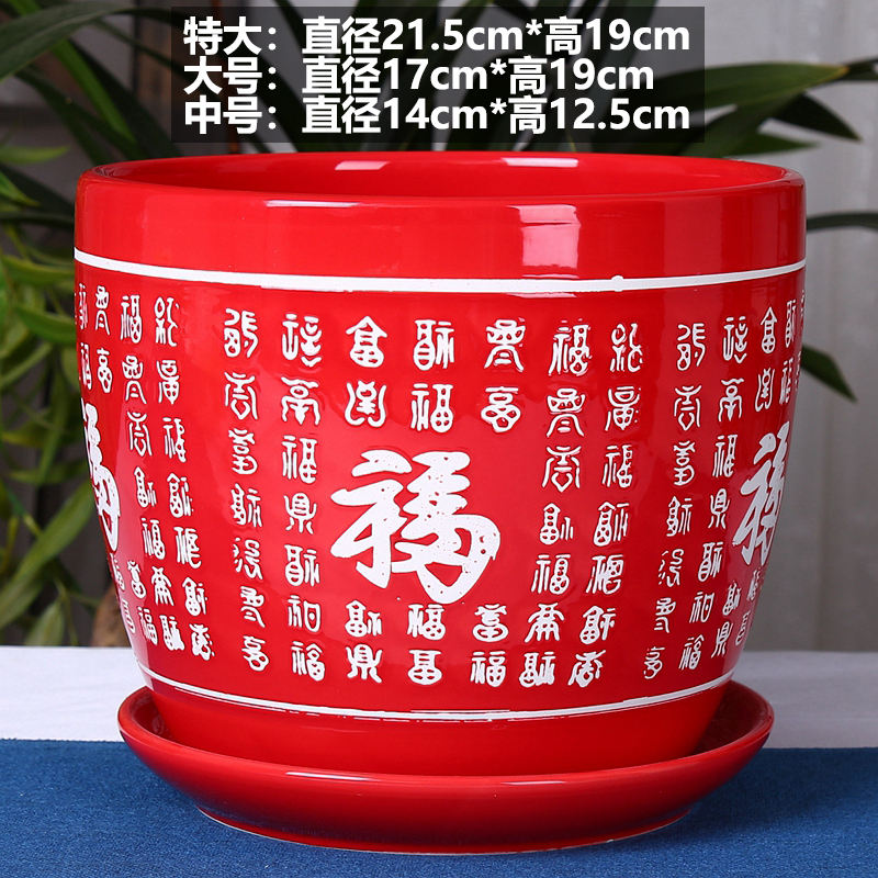 Il est en plein essor