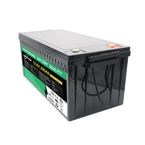 Batería de iones de litio de 48 voltios personalizada de ciclo profundo 12,8 V 200ah batería LiFePO4 Paquete de batería - Product Image 1