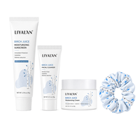 Kit hydratant 3 étapes à la sève de bouleau pour soins de la peau, marque privée, avec chouchou et coffret cadeau personnalisé