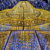 Ventes Directes d'Usine Moderne Lumière Étoile 3D LED Piste de Danse Matériel Aluminium Décoration Scène de Mariage