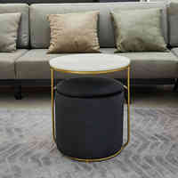 Bailey bonne qualité deux pièces ensemble vanité rembourré plaqué or métal stockage personnalisé velours tissu pouf Table basse
