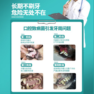 ผ้าเช็ดนิ้วสำหรับทันตกรรม 50 ชิ้น รสชาติมิ้นท์ สำหรับการดูแลช่องปากของสัตว์เลี้ยง ลมหายใจสดชื่น - Product Image 4