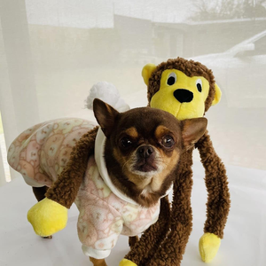 Visage jaune flexible quatre longues jambes marron polaire en peluche singe jouet soulagement câlin chambre décor doux en peluche réaliste singe - Product Image 3
