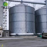 Système complet de stockage de céréales en silo en acier à fond plat clé en main pour ligne de traitement agricole à grande échelle