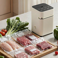 Machine de mise sous vide mini OEM en gros, compression sous vide à une touche pour aliments de tailles variées, gain de place et rangement facile