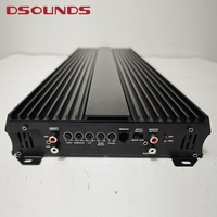 Amplificateur Auto Monobloc de Basse de Conception Coréenne 5000Wrms à 1Ω Pour Subwoofer, Liaison Possible