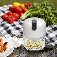 Mini hachoir à ail électrique portable USB, presse-ail automatique, éplucheur, hachoir, broyeur, pour usage domestique, à bouton-poussoir