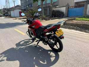 <strong>Yamaha</strong> YBR150 150cc Single Cylinder Air Cooled Fuel Efficient Cargo Carrying Available Suitable for All Road Conditions - Product Image 6