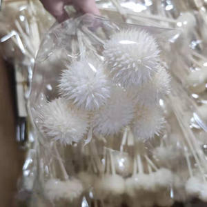 Bouquet <span class=keywords><strong>séché</strong></span> Fleurs préservées Colorées Leonotis Snow Echinops Thistle pour arrangement floral - Product Image 6