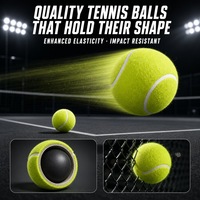Entraîneur de tennis solo avec cordon élastique pour balle de tennis, idéal pour l'entraînement des débutants