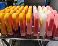 Machine Professionnelle Automatique à Glaces et Bâtonnets