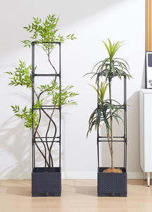 Jardinière P466 avec treillis, potager vertical <span class=keywords><strong>sur</strong></span>élevé pour légumes, fleurs et tomates grimpantes - Product Image 6