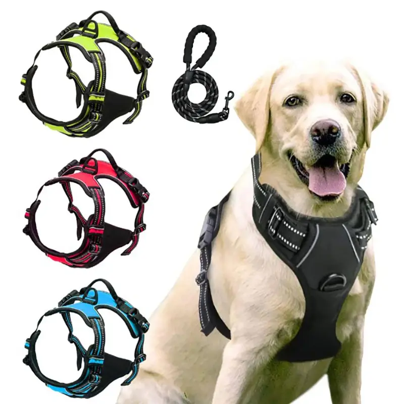 Coleira para cachorro resistente ajustável reflexiva, conjunto de coleira e coleira para cães de pequeno, médio e grande porte