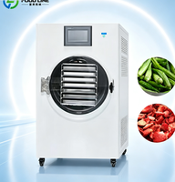 Miniatuur huishoudelijke roestvrijstalen kleine vriesdroogmachine voor het maken van groenten, kleine vriesdroogmachine